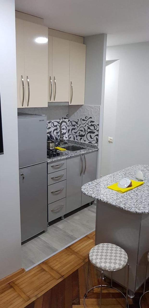 Apartament Shushana Batumi Exterior photo